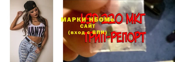 PSILOCYBIN Карталы