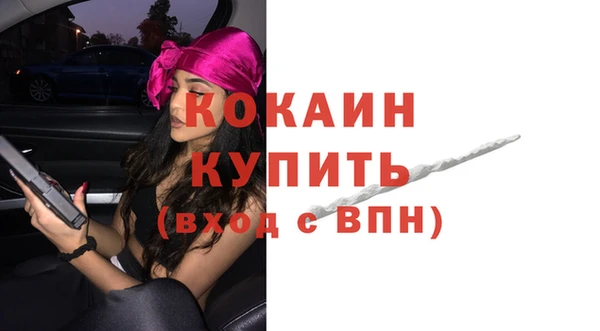 mdpv Каменка
