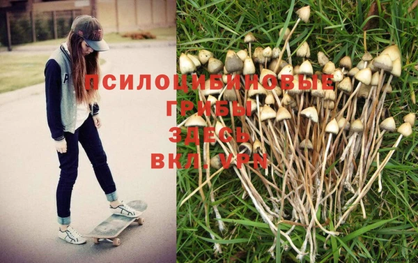 MDMA Каменск-Шахтинский