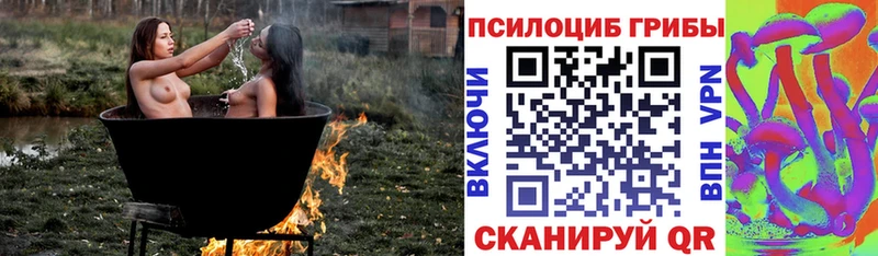 Купить закладки  Зеленогорск  Псилоцибиновые грибы Magic Shrooms 