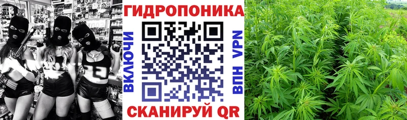 Купить закладки  Зеленогорск  Бошки марихуана MAZAR 